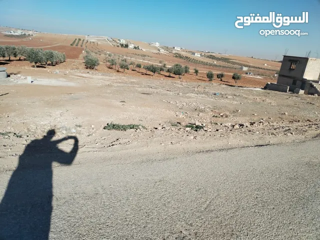 Farm Land for Sale in Mafraq Rhab