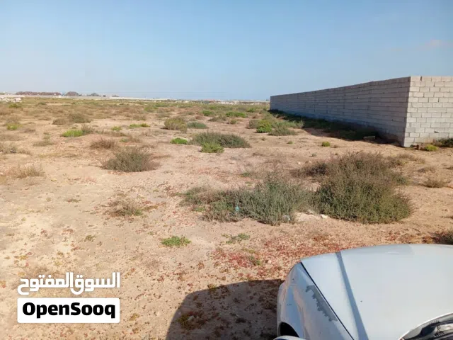 قطعة ارض هكتار