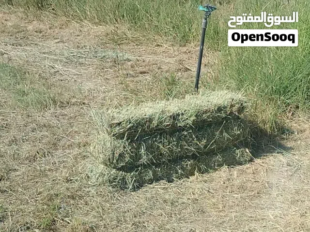 برايد للبيع قصة جديدة