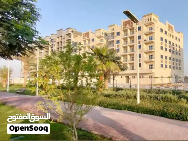 595 ft² Studio Apartments for Sale in Ajman Al Ameera Village