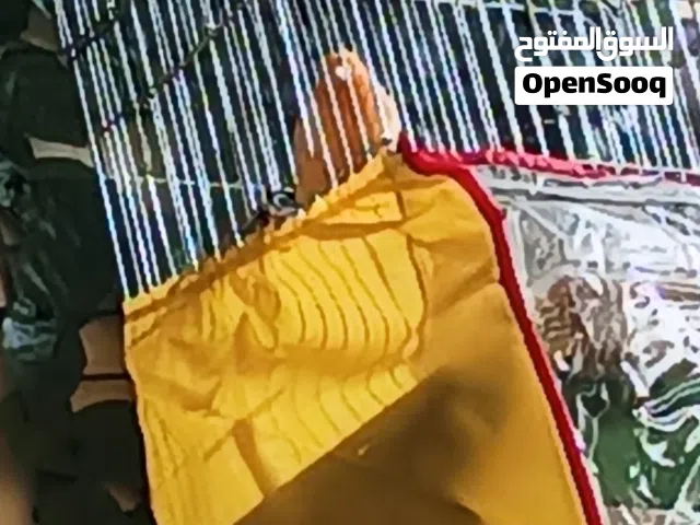 متاااح 18 كنار الصلاه على النبي للبيع موجودين بالزرقاء