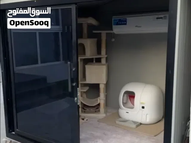 منزل قطط خارجي بيت قطط Outdoor Cat House