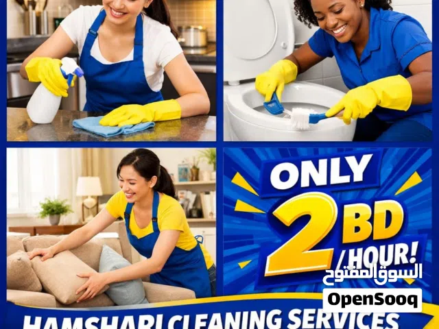 cleaning services homes care