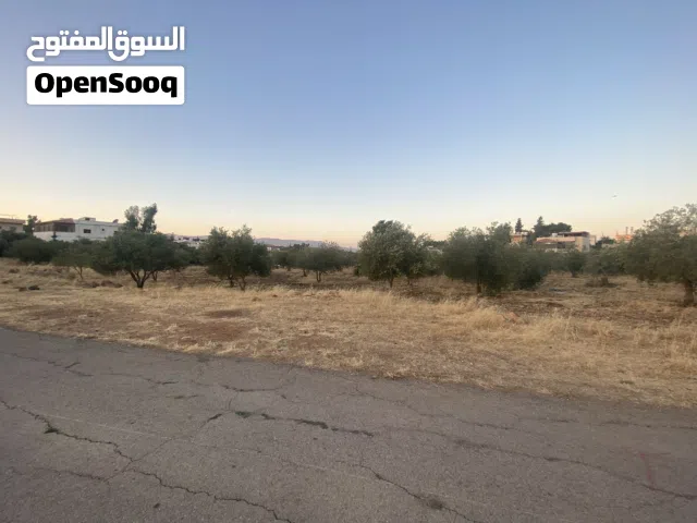 Residential Land for Sale in Salt Al Subeihi