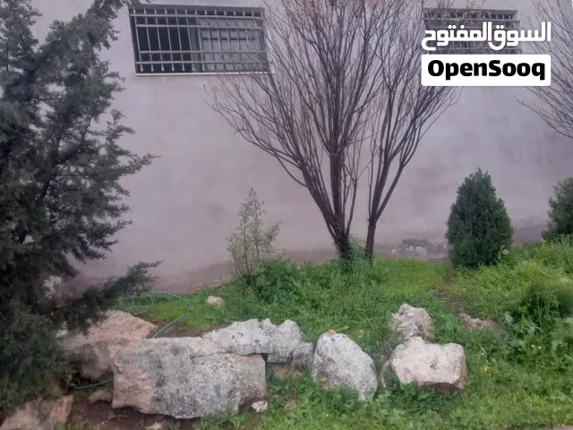 بيت مستقل للايجار