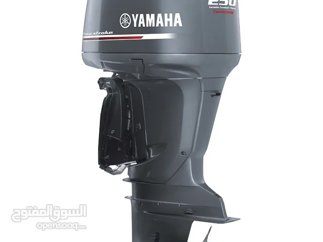 2 new 2024 Yamaha 250 engine 4 stroke
