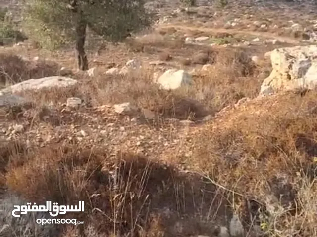 ارض للستثمار   دفعه 1000الف دولار والباقي شقق  دفع في سطح مرحبا الارض على شارعين