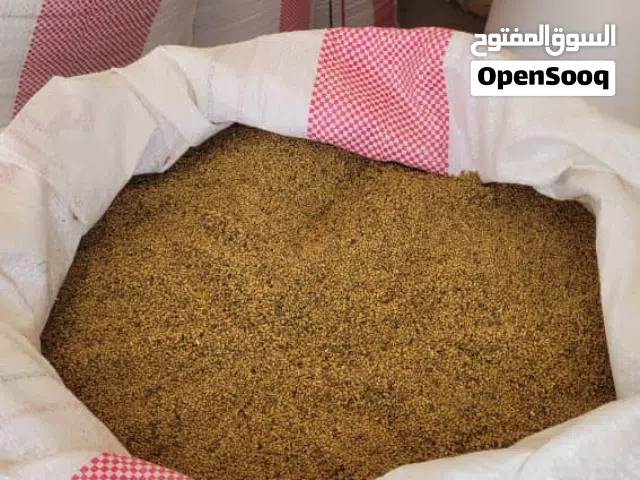 قت ساحلي يمني (حضرموت) برسيم اليمن  ( متوفر القت اليمني من حضرموت ) + متوفر بصل أحمر يمني بافطيم 1