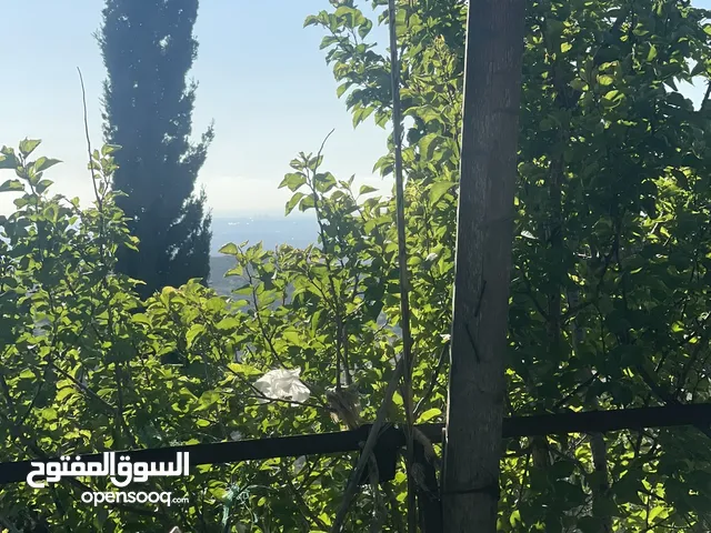 منزل للبيع ع شارع الرئيسي