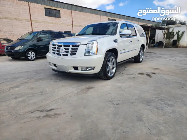 Used Cadillac Escalade in Amman