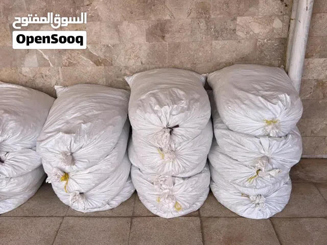 نفيعه هذا سنه