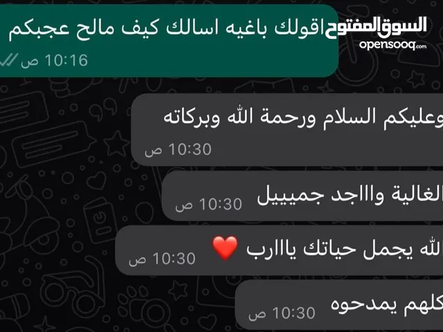 مالح سمك طازج