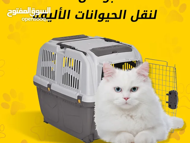 Elementar Monopol Artikel اسعار مستلزمات القطط فى مصر 2018 String Ort  Vorgänger