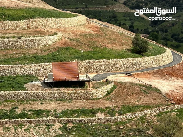 2 Bedrooms Farms for Sale in Amman Mahes