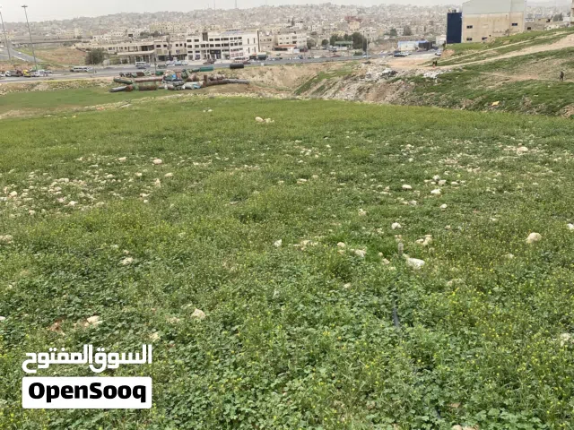 Industrial Land for Sale in Zarqa Hay Al Jundi