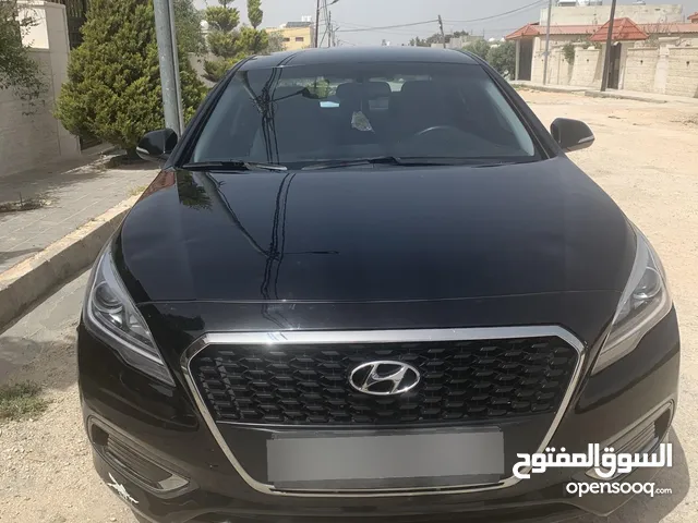 Used Hyundai Sonata in Irbid