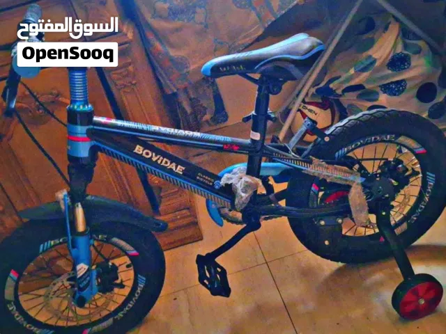 Kids’ Bicycle for Sale – Like New!