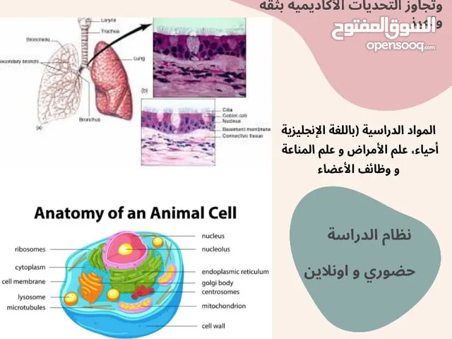 مدرسة خصوصي مواد السنة التحضيرية الكليات الطبية