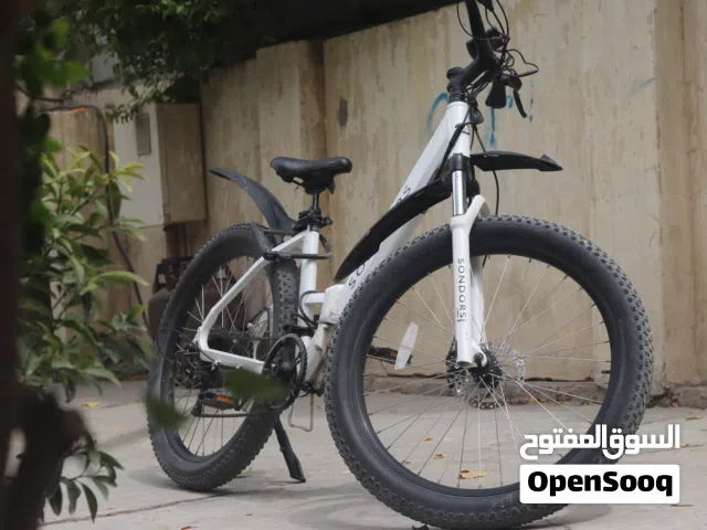 بايسكل شحن ماركة ساندروس