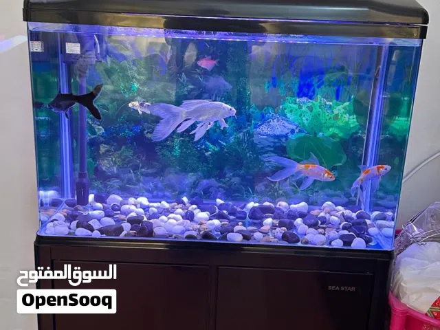 Fish with Aquarium.