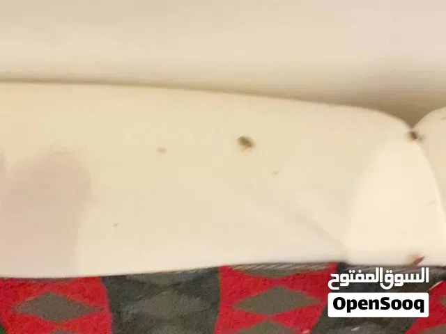 رش جميع أنواع قمل المطبخ وبق الفراش، مضمون وفعال تمامًا لمرة واحدة لفترة طويلة
