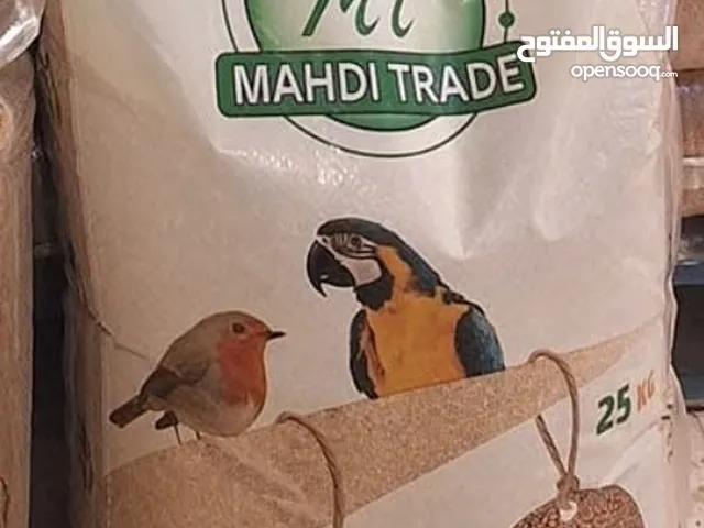 شول زوان روسيه