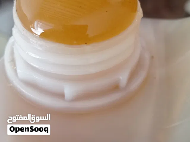 عسل سدر حضرموت 100% أصلي حضرمي
