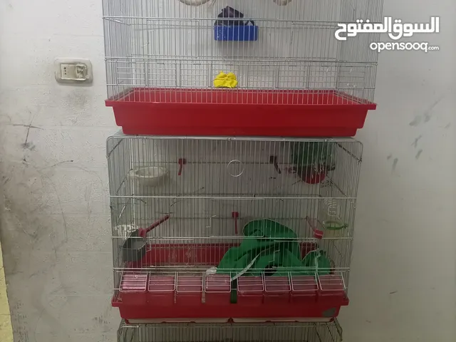 متاح مطاير ثمان معالف