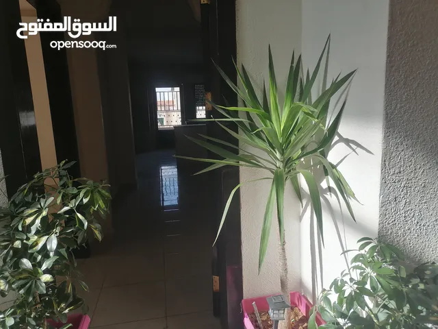170 m2 3 Bedrooms Apartments for Rent in Amman Daheit Al Aqsa