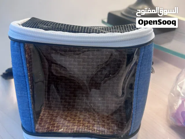 شنتة عصفور