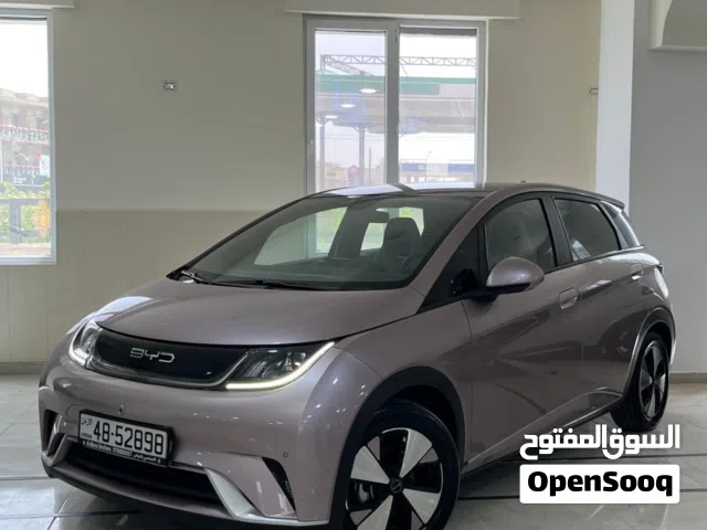 2023 بي واي دي دولفين