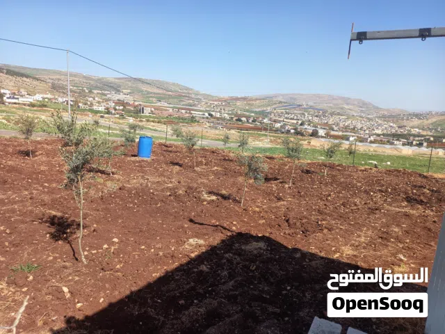 Mixed Use Land for Sale in Nablus Taluza