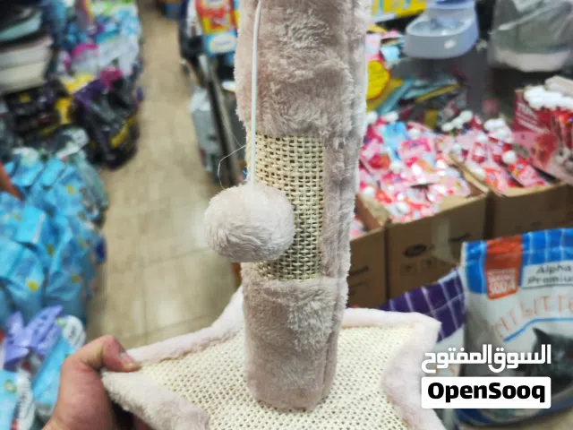 خداشه قطط على شكل نجمه متوفره الان للقطط الصغيره