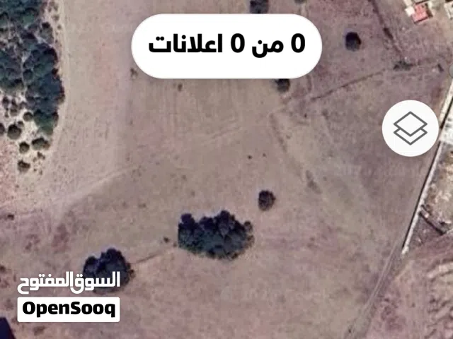 دارزهيرو بكدور