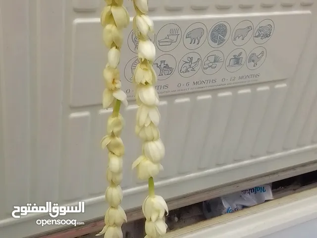 موجود فل طبيعي من دزان وموجود ورد طبيعي وموجود توصيل لجميع مناطق الرياض