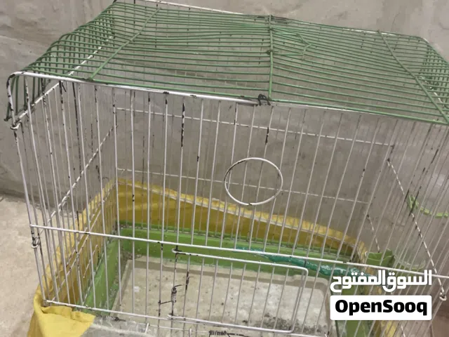 أقفاص عصافير