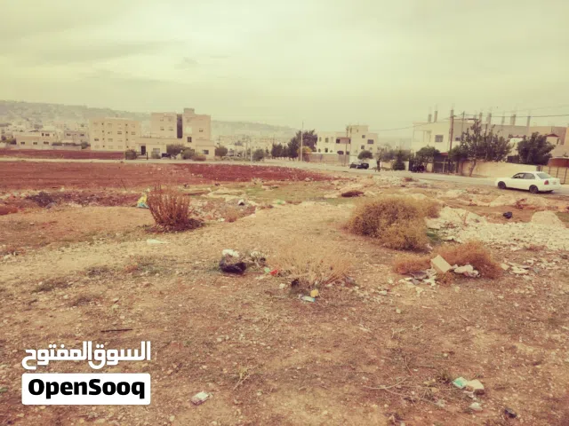 Residential Land for Sale in Irbid Al Husn