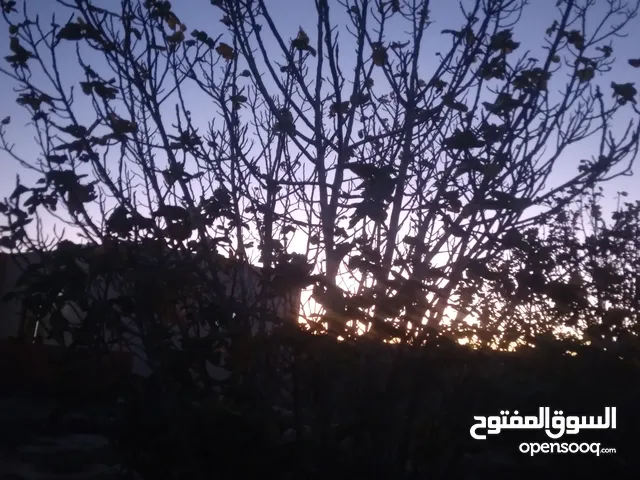 Mixed Use Land for Sale in Sabratha Other