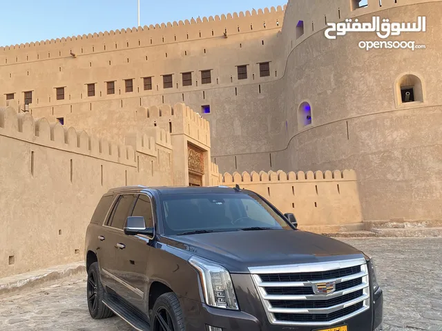 Used Cadillac Escalade in Al Batinah