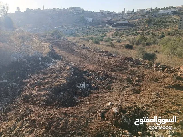 800متر مربع طابوا فلسطيني موقع مميز وجميل