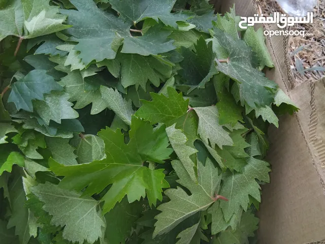 دوالي بلدي للبيع كرز