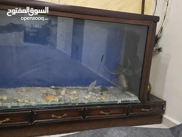 حوض سمك متر ونصف للبيع او للبدل على عصافير
