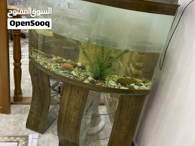احواض سمك للبيع مع فلتر مي مع ضوء مع الحجار بسعر مناسب للجميع فقط في 70 قايل للتفاوض بشيء قليل