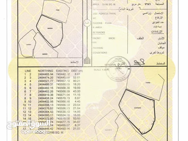 زراعي في صور الفليج ع شارع قائم وسط جميع الخدمات بها بئر مشترك موقع مميز بسعر مميز انا المالك