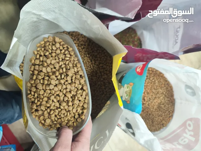 اكل قطط نفل الكيلو بس دينارين و ايطالي كمان و تاريخ بعيد