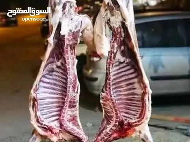 وكل عام وانتم بخير جزار مصري الخروف بي 110