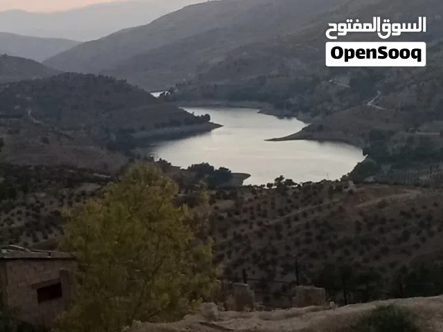 Mixed Use Land for Sale in Jerash Al-Mastaba