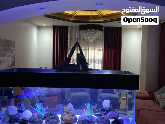 شقة مميزة للايجار يومي اسبوعي شهري