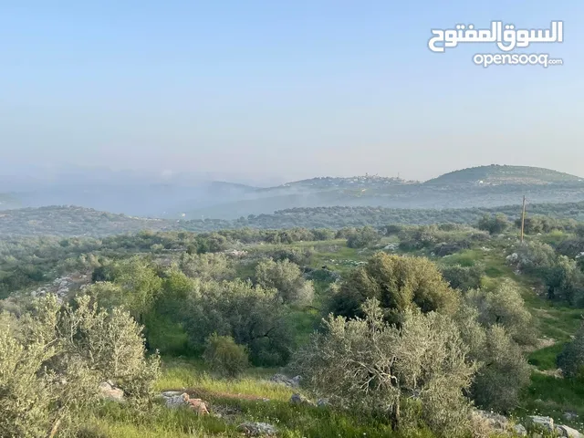 Mixed Use Land for Sale in Tulkarm Kafr Abush