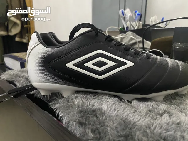 سبيدرو كوره